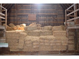 Property photo 102 - FARM & LAND AUCTION - 125+/- ACRES OFFERED IN 5 TRACTS IN EAST ALLEN COUNTY, INDIANA